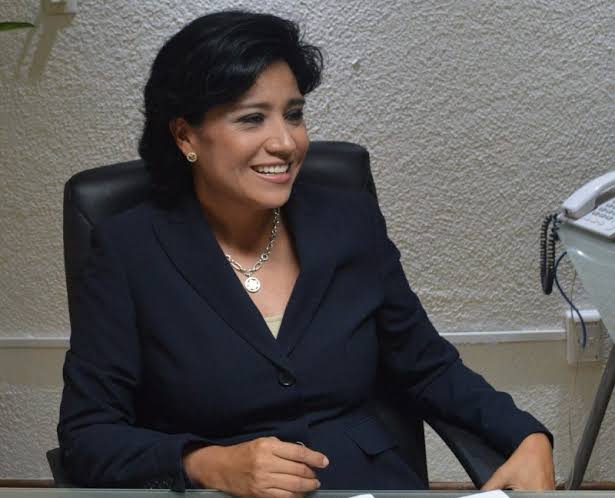 Comisión del Congreso y Sedesol analizan llevar a cabo foros para una reforma a la Ley de Desarrollo Urbano: Elízabeth Morales