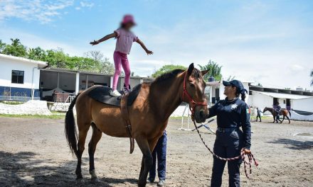 Equinoterapia de SSP, motor que impulsa y cambia la vida de niñas, niños y  jóvenes con discapacidad