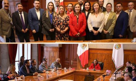 Nahle, orden institucional