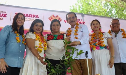 Gobierno de Veracruz invierte en la recuperación del sector primario tras las inundaciones en la zona norte